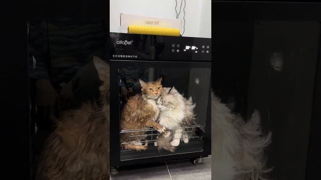 1000013030.mp4