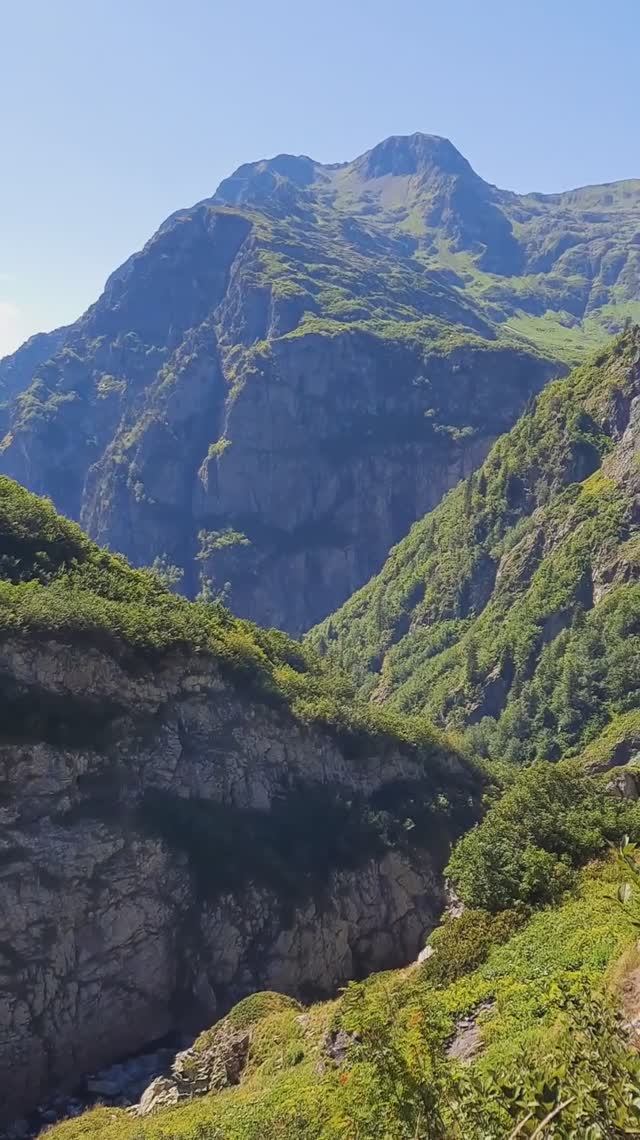 Кавказский заповедник