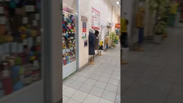 местоположение студии Кои
