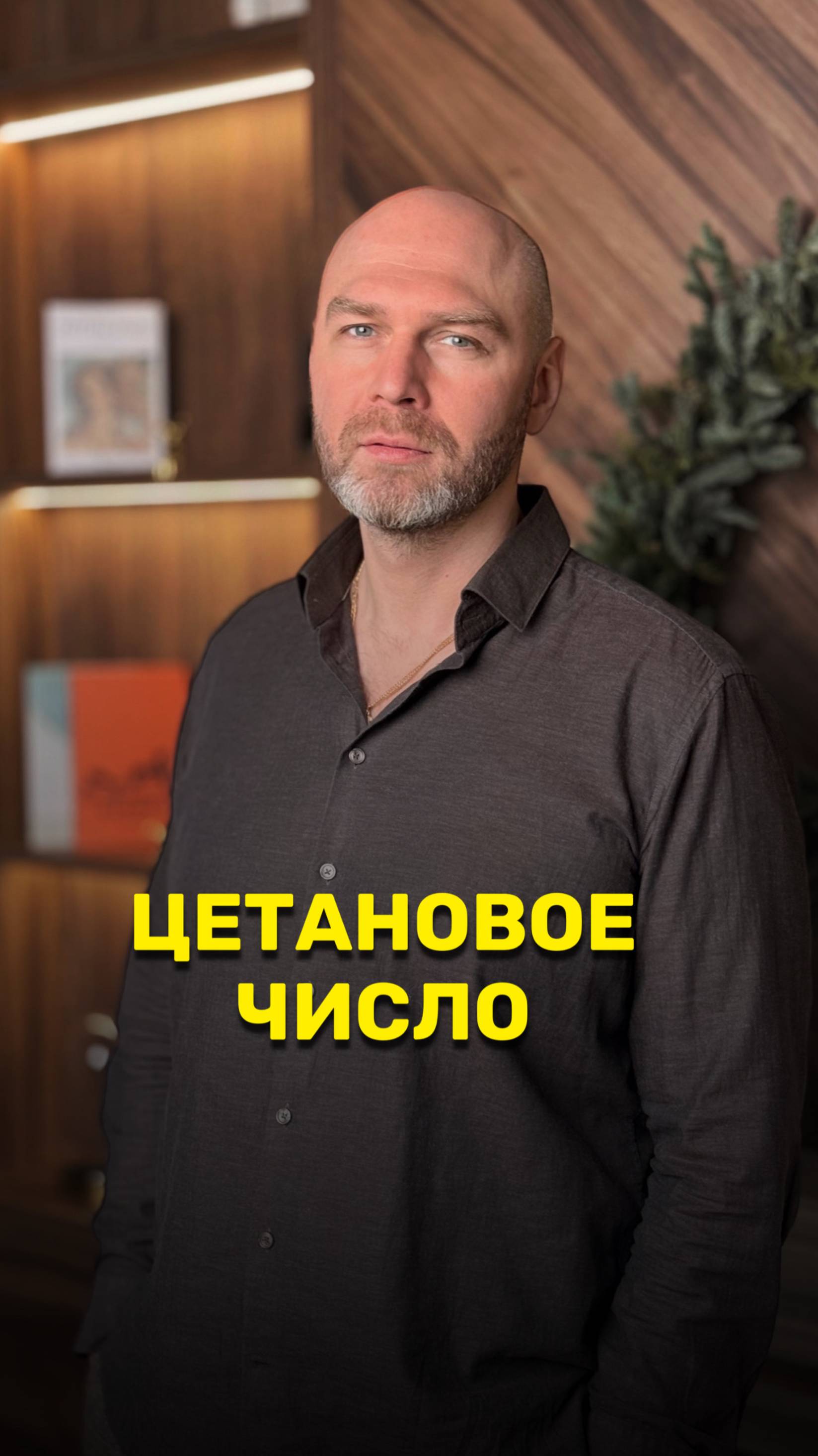 Цетановое число