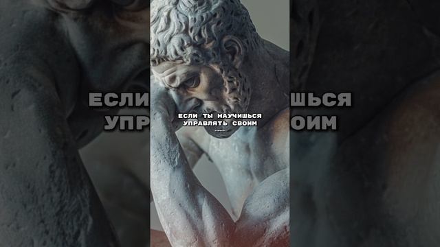 Сила воли стоиков #философия #философиястоика #психология