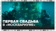 Москвичи поженились в "Москвариуме" - Москва 24