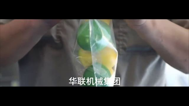 Конвейерный запайщик FRM-1370LD