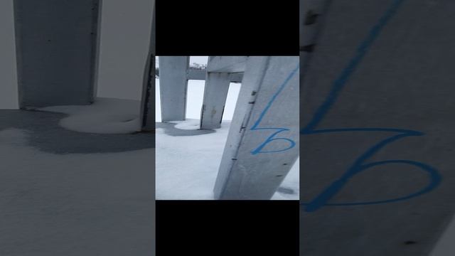 VID_20241217_120809.mp4