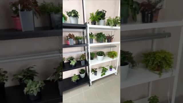 ➖ Стеллаж напольный для рассады и домашнего огорода