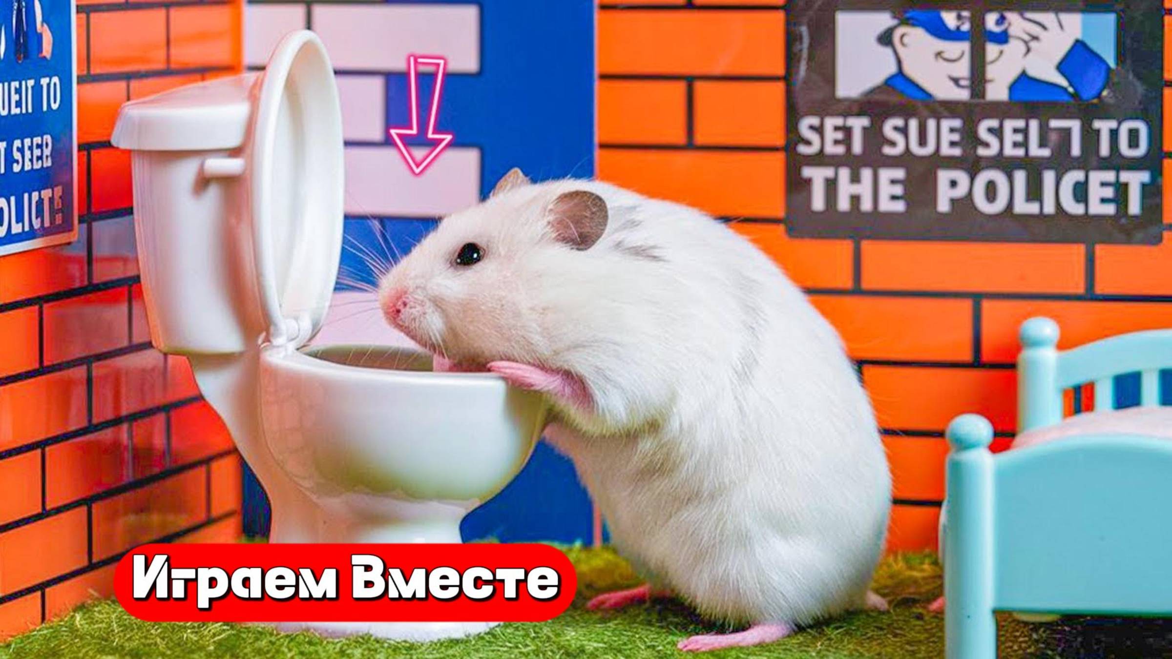 Вместе с хомяком выбираемся из запутанного лабиринта с препятствиями ! Видео для детей 👍