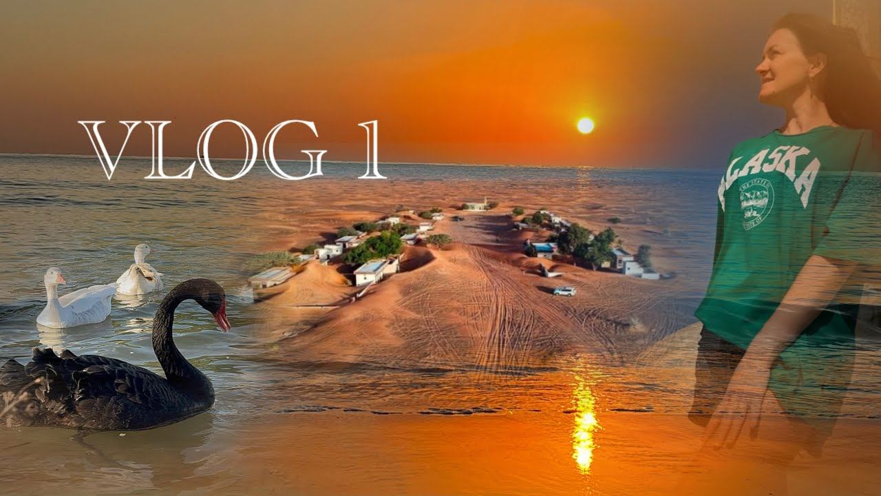VLOG 1. На вдохновении....