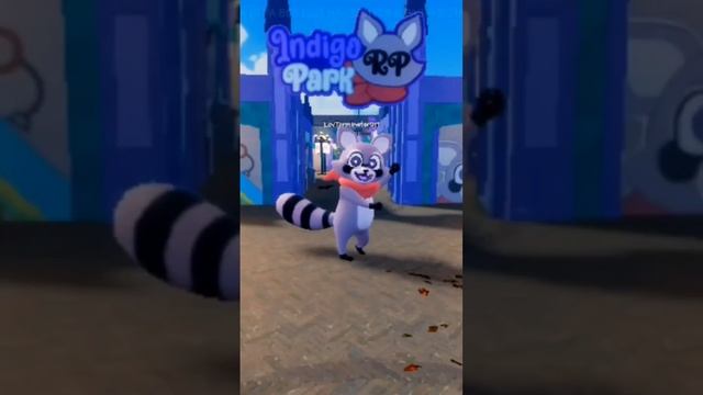 Toca toca toca. Rambley The Racoon  #indigopark #rambleytheracoon #tocatoca