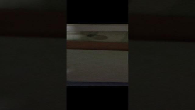 1000000771.mp4