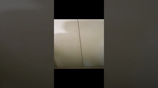 VID_20241110_144003.mp4