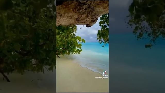 179908dde0ba3c3e49d0700ac0fb902a.mp4