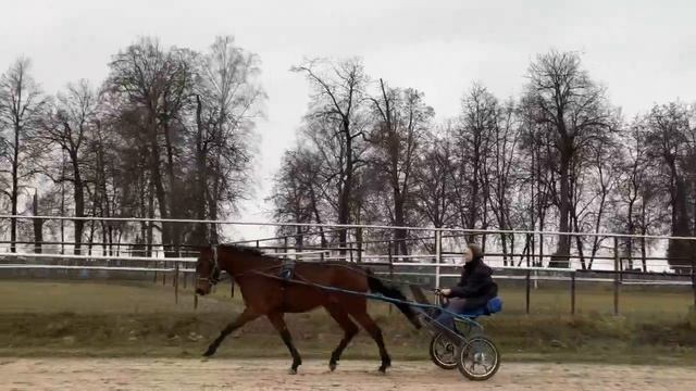 Чизэль Лок (к) (Enjoy Du Vernet - Чуткая Лок) 2023