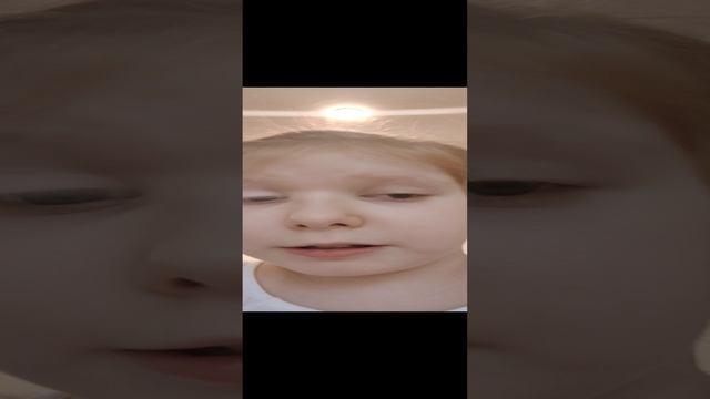VID_20241206_134749.mp4