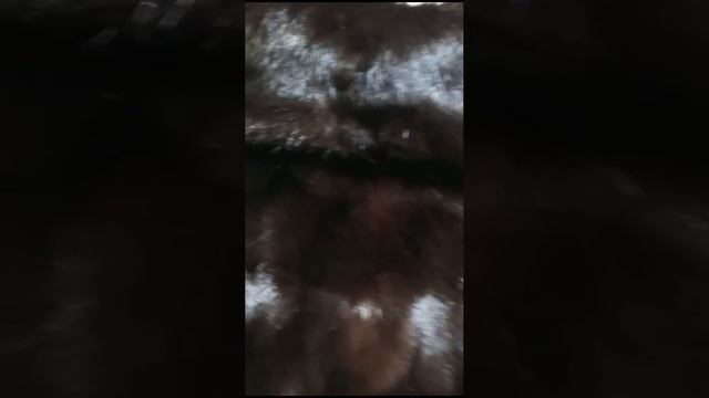 Норковая шуба (здали)