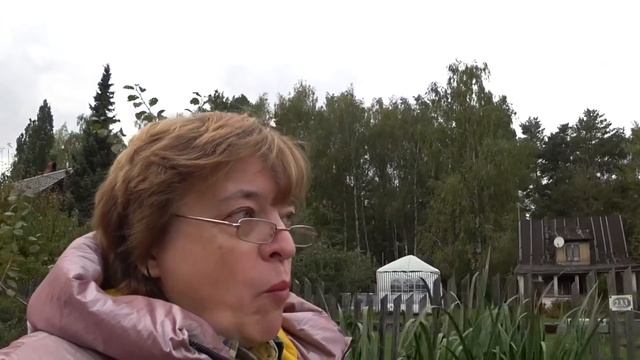 Перебирая вещи нашла старые деньги / Прогулка с «девчонками» / Это не едят 25 сентября 2021 г.