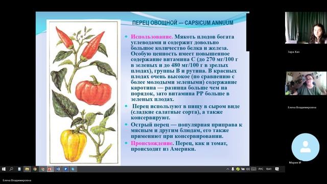 7 класс_17.12_13_Паслёновые_Бобовые_Астровые