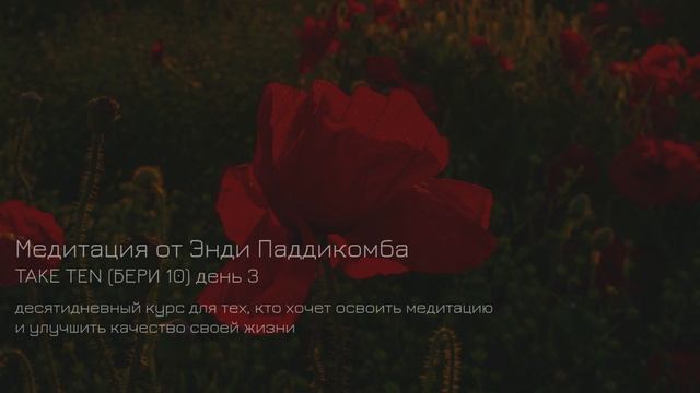 ДЕНЬ 3. Медитация. Урок медитации от Энди Паддикомба TAKE TEN/ БЕРИ ДЕСЯТЬ