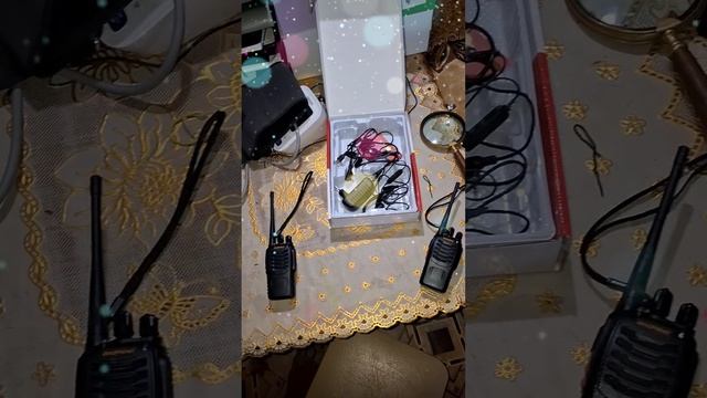 1000009692.mp4 (Собака рассматривает купленную на Озоне радиостанцию)