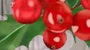 зиму ждёте?