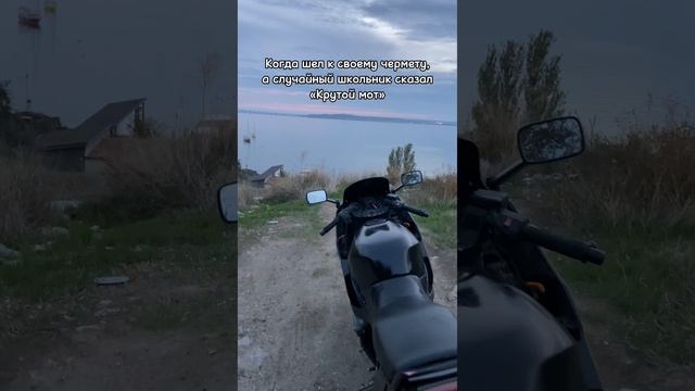 Школьники шарят