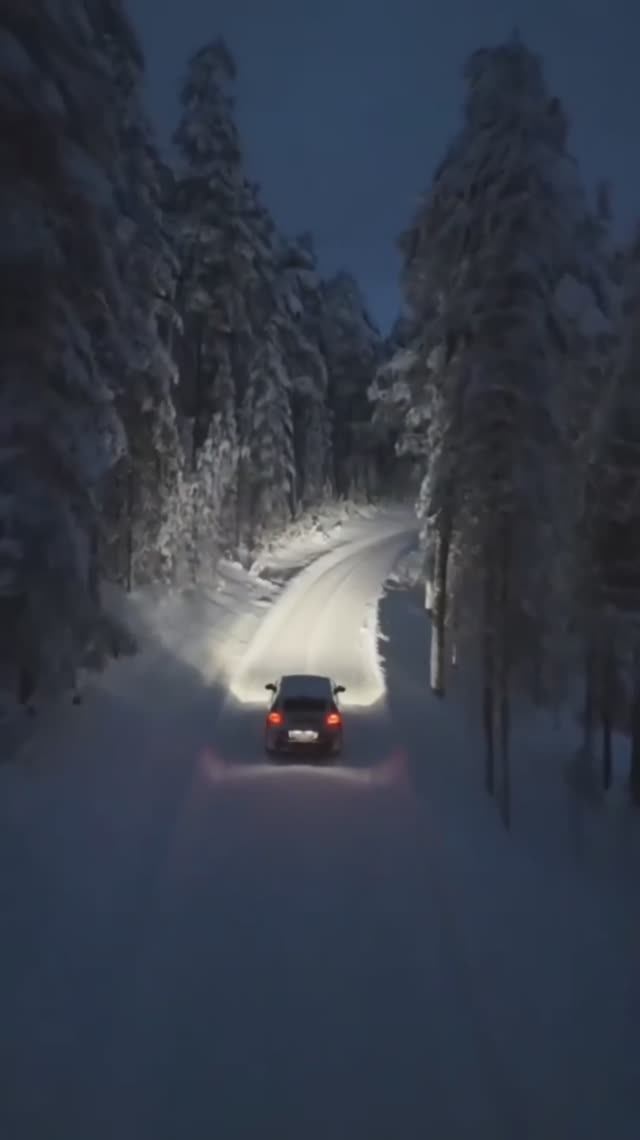 Зимнее настроение #5