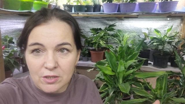 Фотосессия ,  стресс и кредит под 35 % .