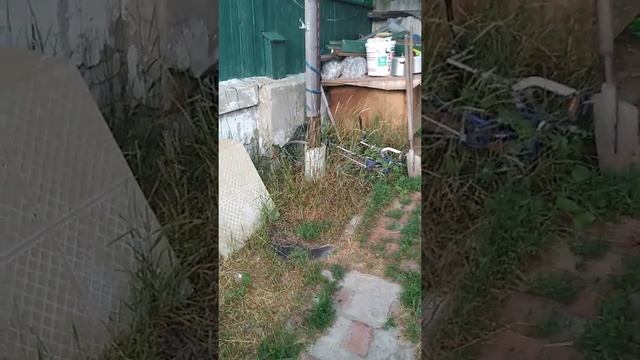Строим кошачий дом и вольер! Нужна ваша помощь!!!
