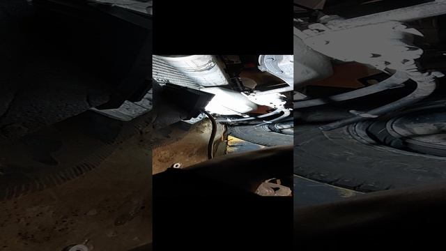 1000046918.mp4