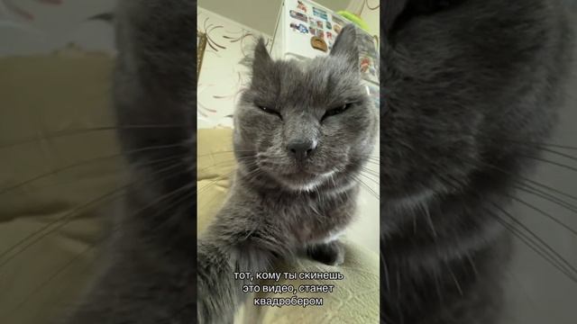 Скинь другу