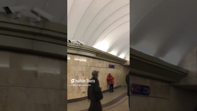 Санкт-Петербург. 17.12.2024. Переход к поездам станции метро «Адмиралтейская». Панно «Нептун»