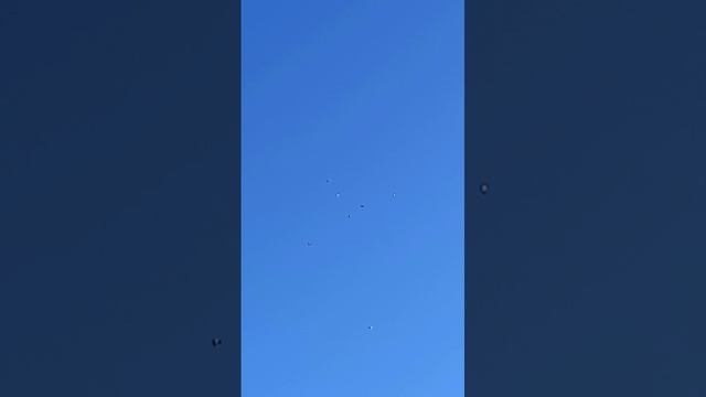 с Кагальник 89001300202