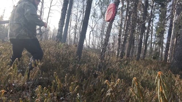 Тренировки по накачайловски 2