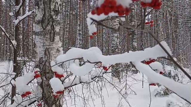 Снег на ладонях.