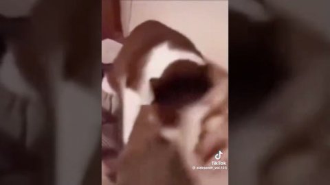 кусь 😂😂😂