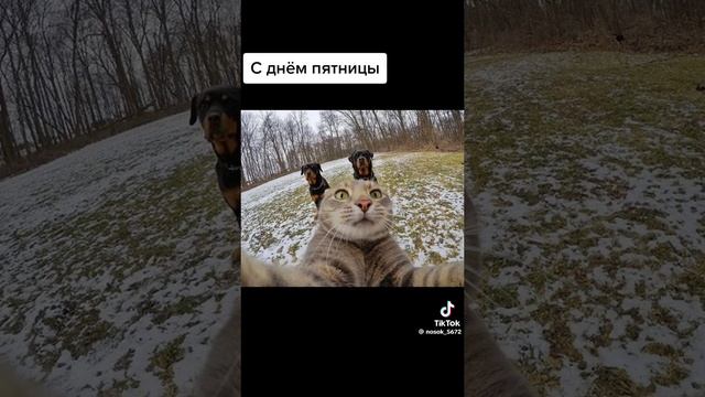 я пропустил школу. и тем временем (Я)
