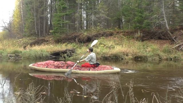 река Нея Поназыревская Костромская обл. сентябрь 2015