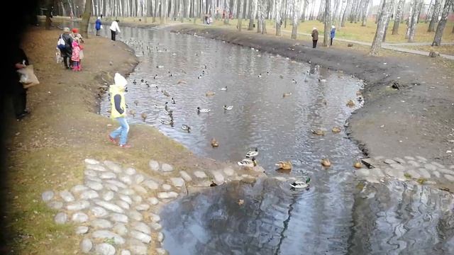 Детский парк