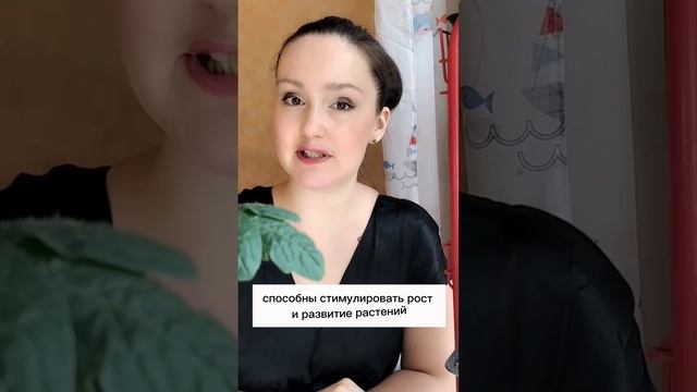 Экстракты Растений: Сила Природы в Чистом Виде! 💥