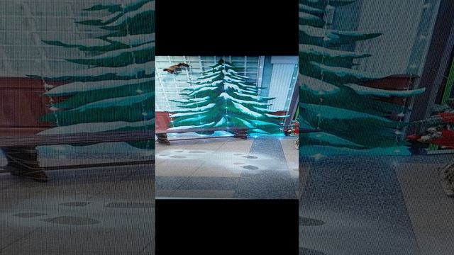 Творческая мастерская чтеца.