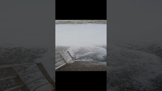 1000036248.mp4