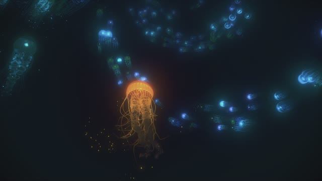 SideFX Houdini - Procedural Jellyfish - Creation Workflow