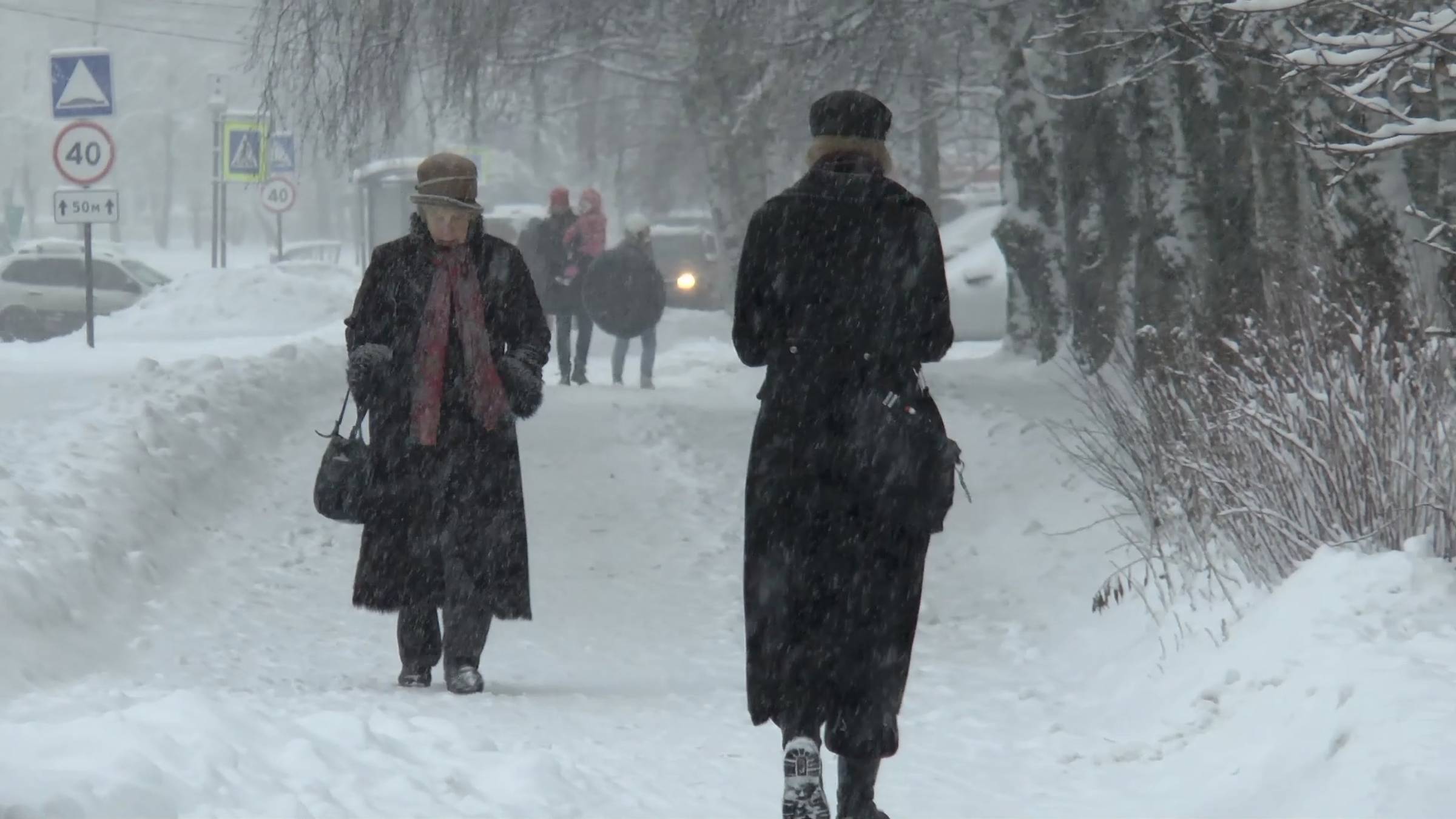 Петергоф в снегу.