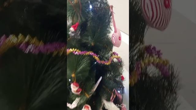 Теперь она Нарядная на Праздник к нам Пришла