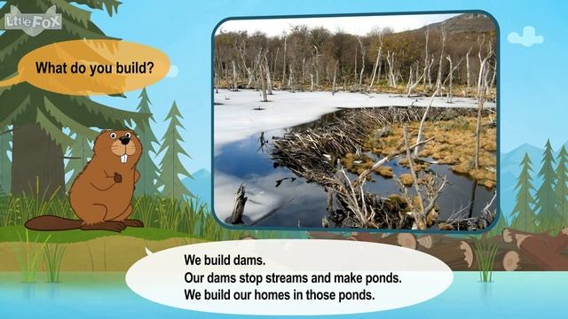 Meet the Animals 25_ Beaver _ Level 2 _ By Little Fox