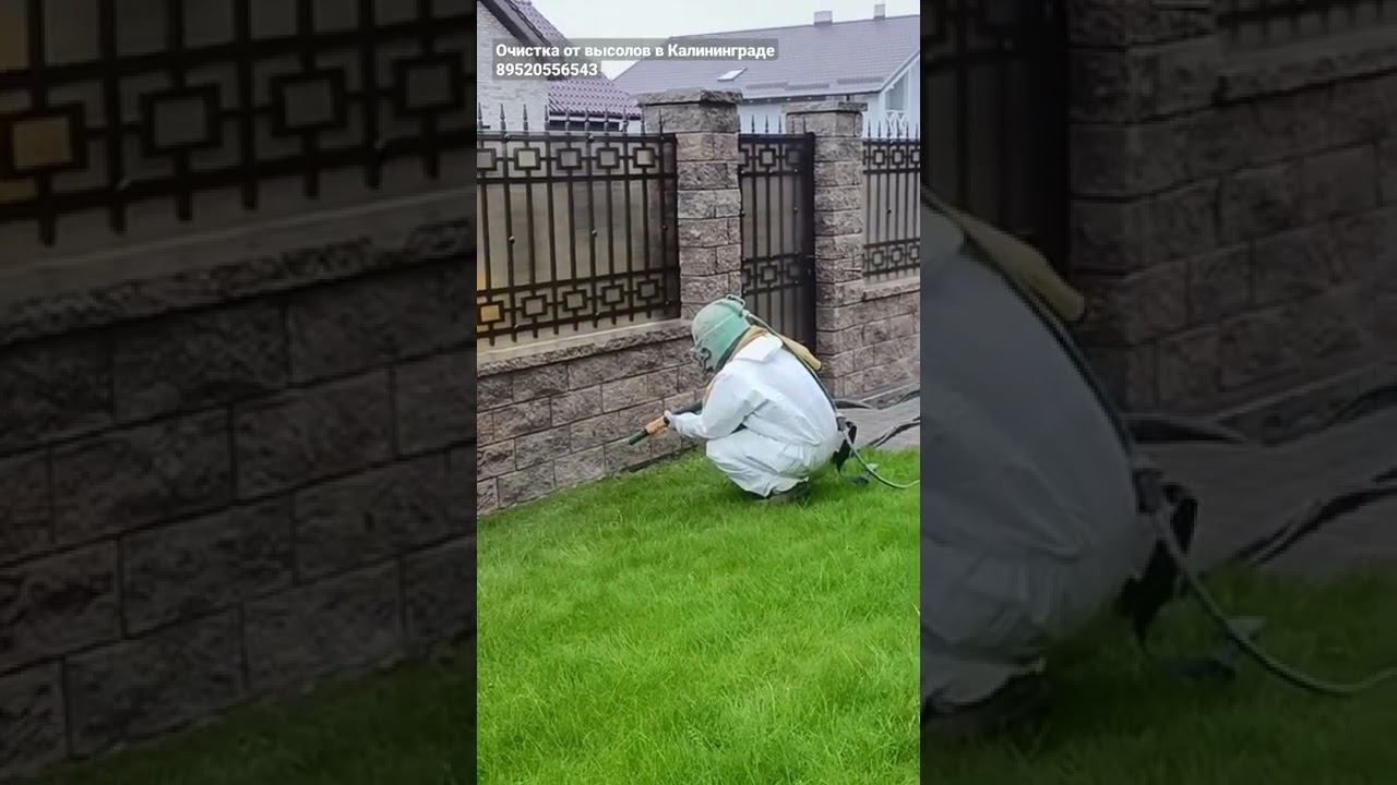 Очистка от высолов в Калининграде 89520556543