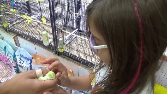 PET SHOP Alışverişi (Hangi evcil hayvanları aldık isimlerini ne koyduk?) Eğlenceli Çocuk Videosu