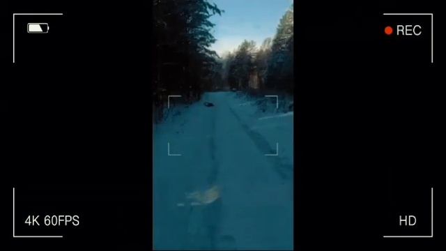 Влог с ЛПшками и реборнами 🫧✨