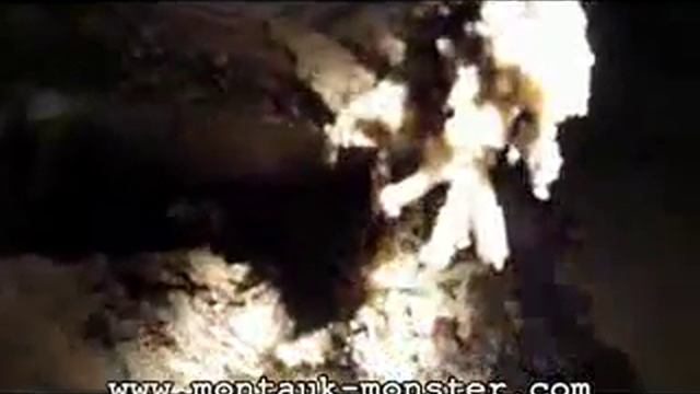 Монтаукский монстр, найденный на Длинном острове в 2009 году.