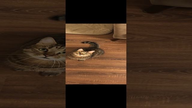 Кот Симба в полете