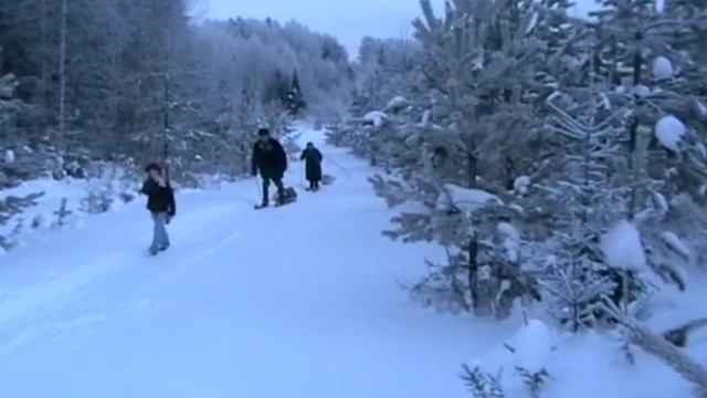 Зима в южной тайге